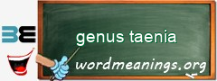 WordMeaning blackboard for genus taenia